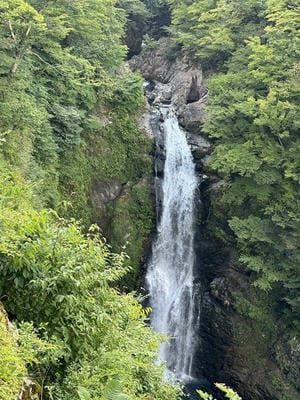 �����̐_�lDX