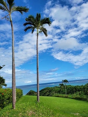 �����̐_�lDX