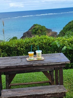 �����̐_�lDX