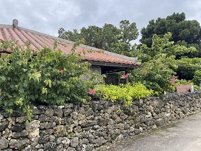 �����̐_�lDX