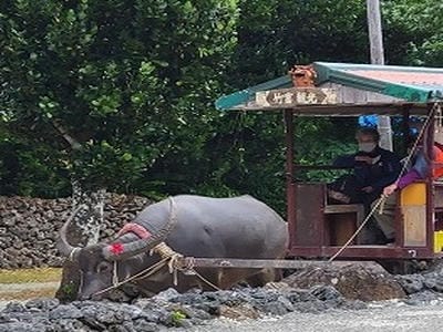 �����̐_�lDX