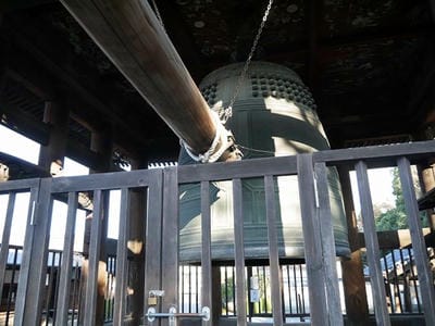 �����̐_�lDX