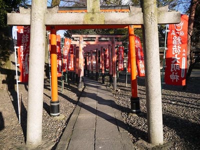 �����̐_�lDX