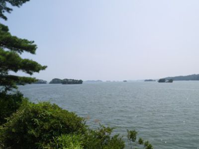 �����̐_�lDX