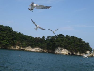 �����̐_�lDX