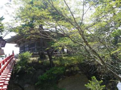 �����̐_�lDX