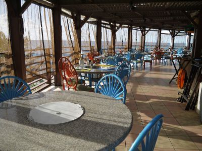 �����̐_�lDX