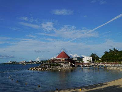 �����̐_�lDX