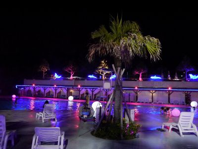 �����̐_�lDX