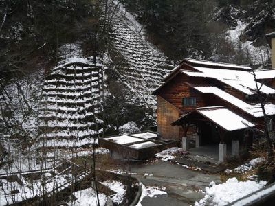 �����̐_�lDX