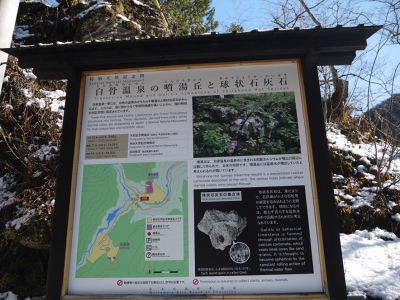 �����̐_�lDX