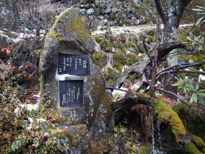 �����̐_�lDX