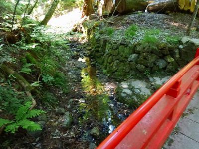 �����̐_�lDX