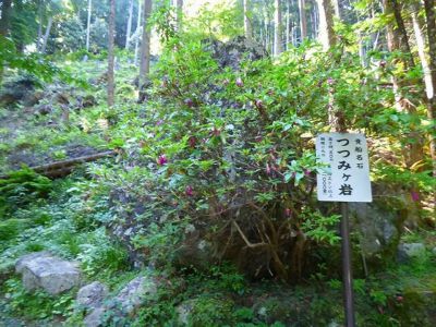 �����̐_�lDX