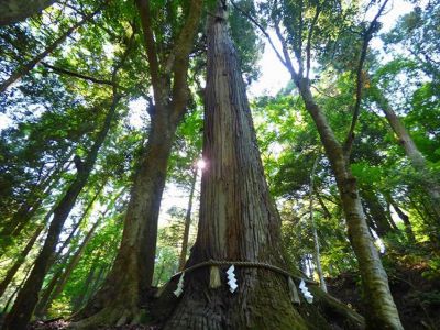 �����̐_�lDX