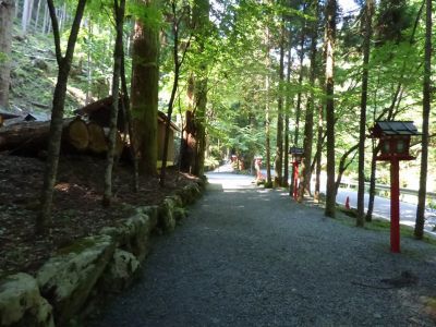 �����̐_�lDX