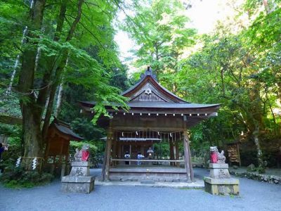 �����̐_�lDX