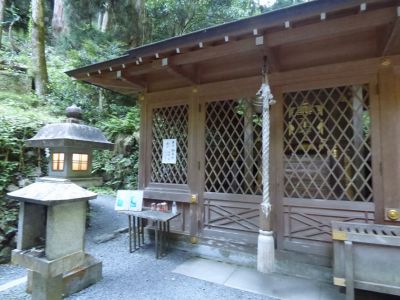 �����̐_�lDX