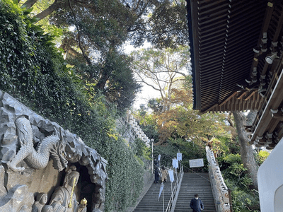 �����̐_�lDX