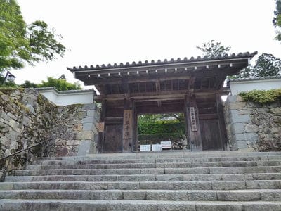 �����̐_�lDX