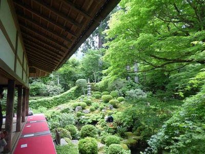 �����̐_�lDX