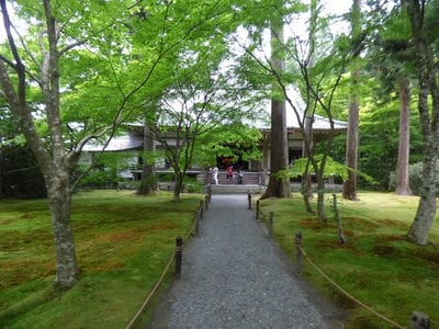 �����̐_�lDX