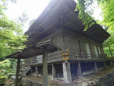 �����̐_�lDX