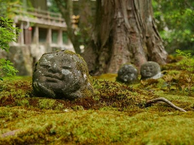 �����̐_�lDX