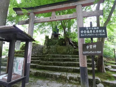 �����̐_�lDX