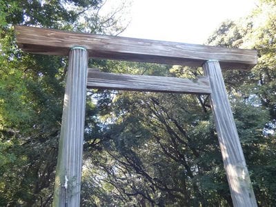 �����̐_�lDX