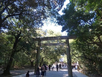 �����̐_�lDX