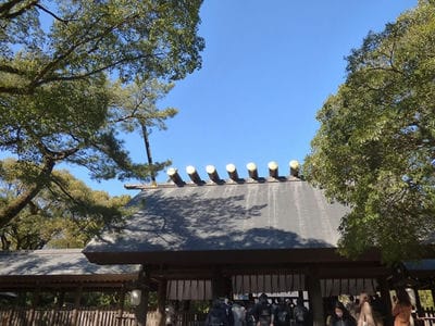 �����̐_�lDX