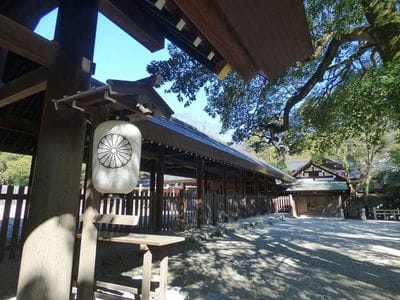 �����̐_�lDX