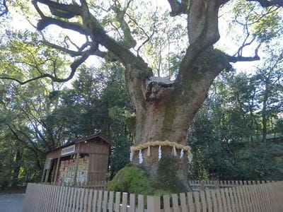 �����̐_�lDX