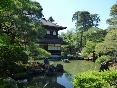 �����̐_�lDX