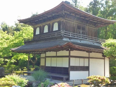 �����̐_�lDX