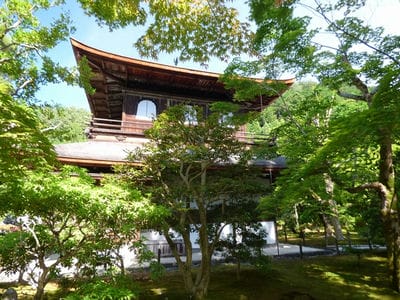 �����̐_�lDX