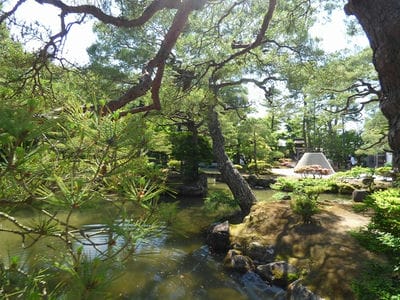 �����̐_�lDX