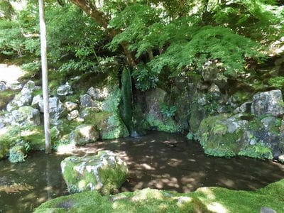 �����̐_�lDX