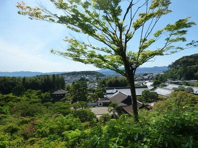 �����̐_�lDX