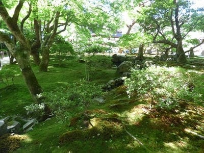 �����̐_�lDX