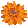 icon1