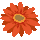 icon2