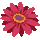 icon3