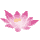 icon1