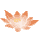 icon2