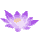 icon3