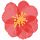 icon3