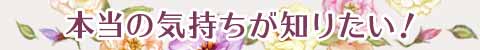 {̋Cm肽I
