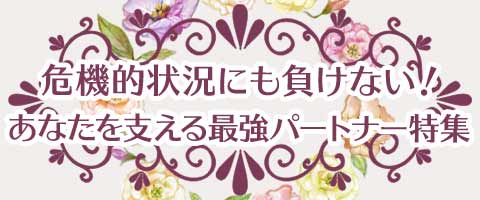 @I󋵂ɂȂIȂxŋp[gi[W